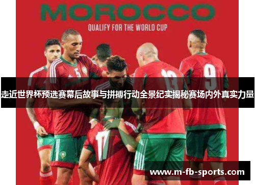 走近世界杯预选赛幕后故事与拼搏行动全景纪实揭秘赛场内外真实力量