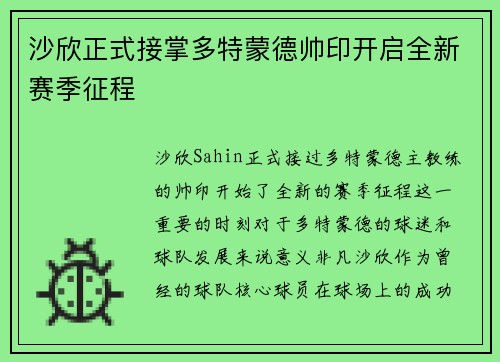 沙欣正式接掌多特蒙德帅印开启全新赛季征程 沙欣正式接掌多特蒙德帅印开启全新赛季征程